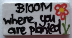 10175--bloom-where-you-are-planted